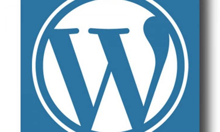 Quels sont les métiers du web qui ont la cote auprès des freelances WordPress ?
